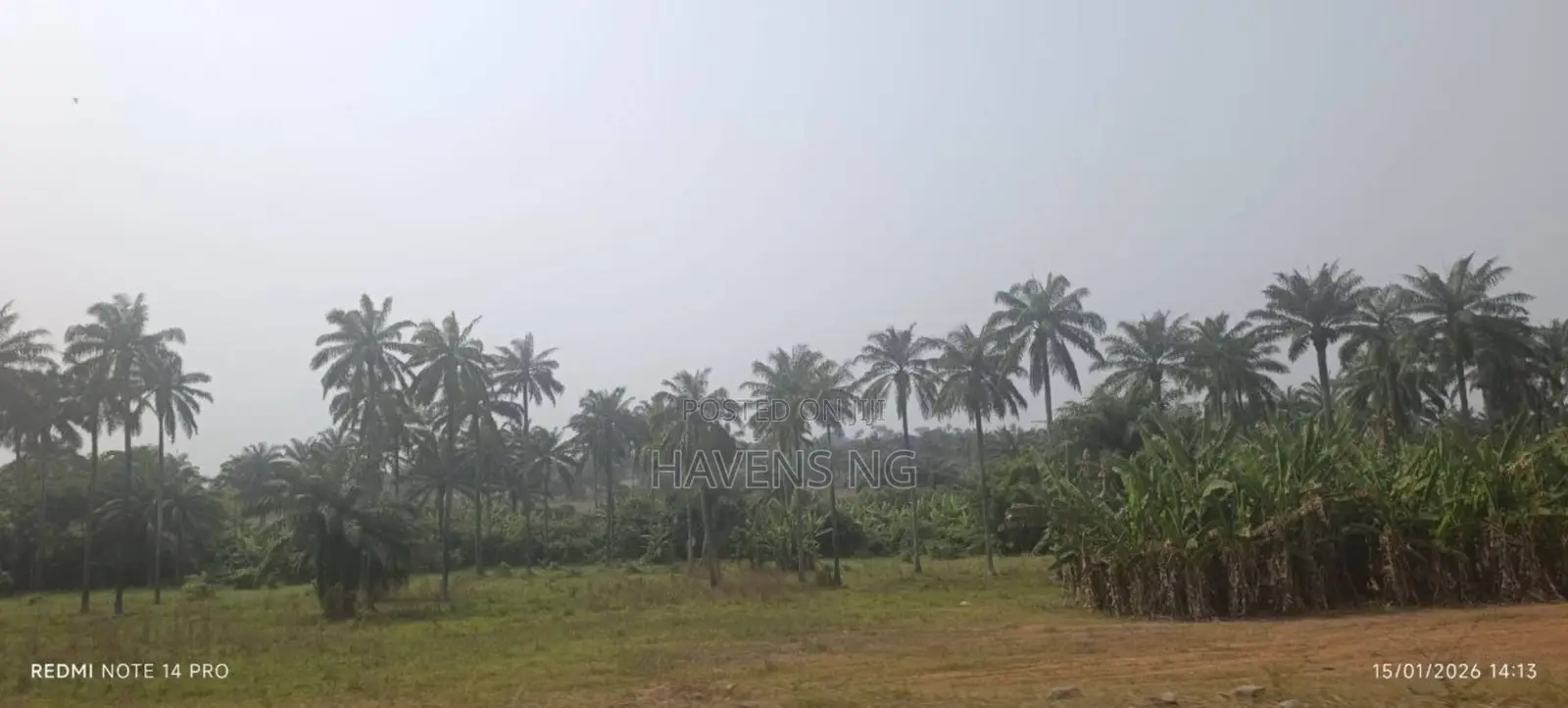 Three Full Plots of Land for Sale at Akobo Ojurin in Akobo