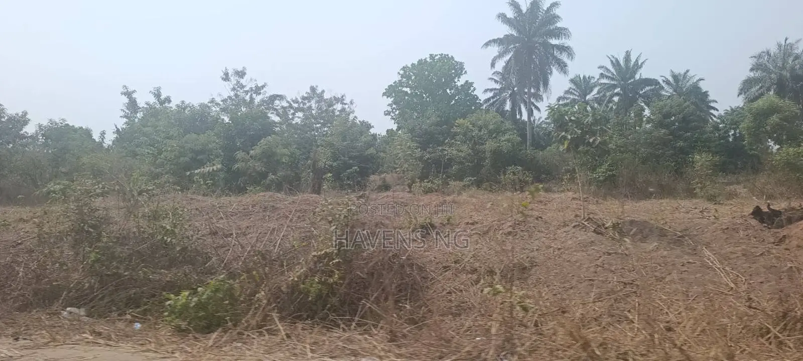 Three Full Plots of Land for Sale at Akobo Ojurin in Akobo