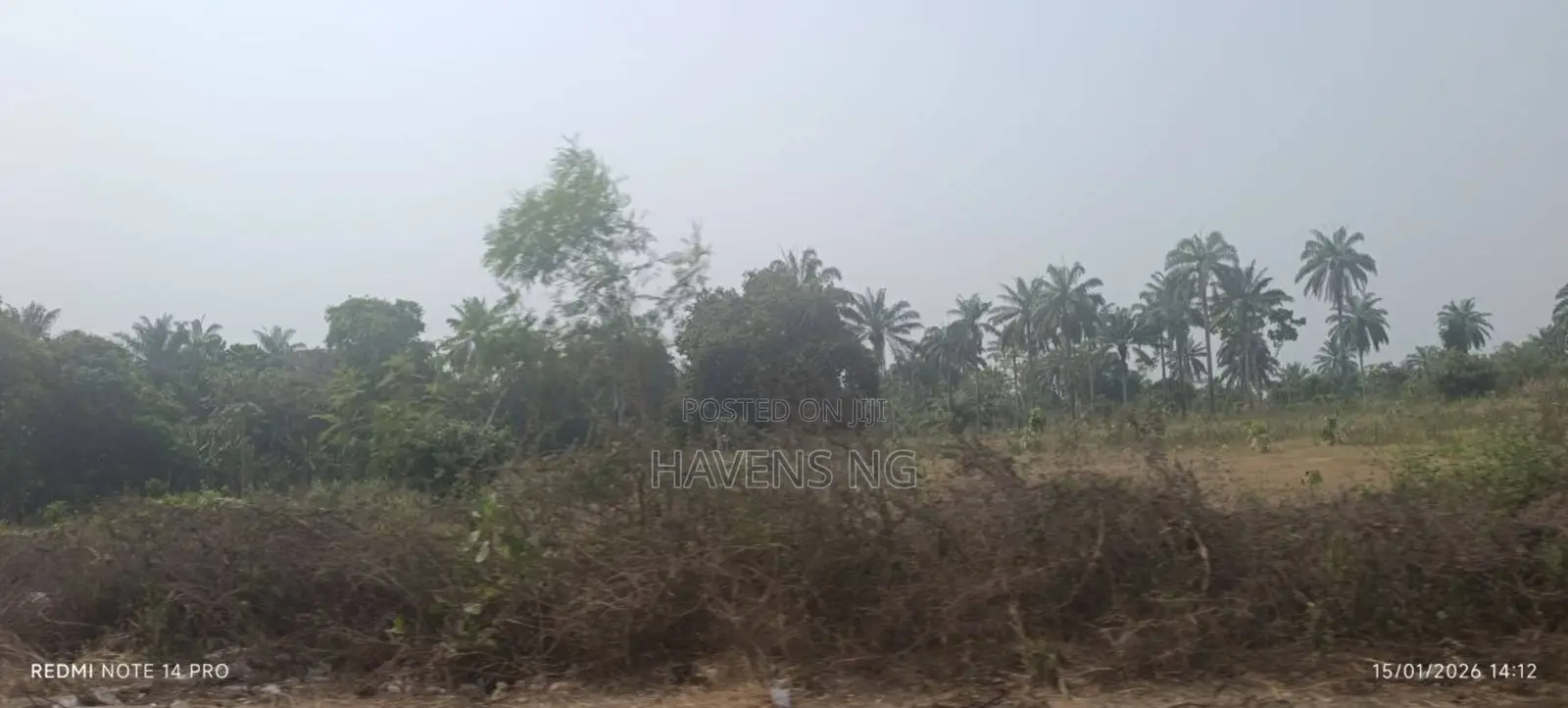 One Plot of Land for Sale in Akobo in Akobo