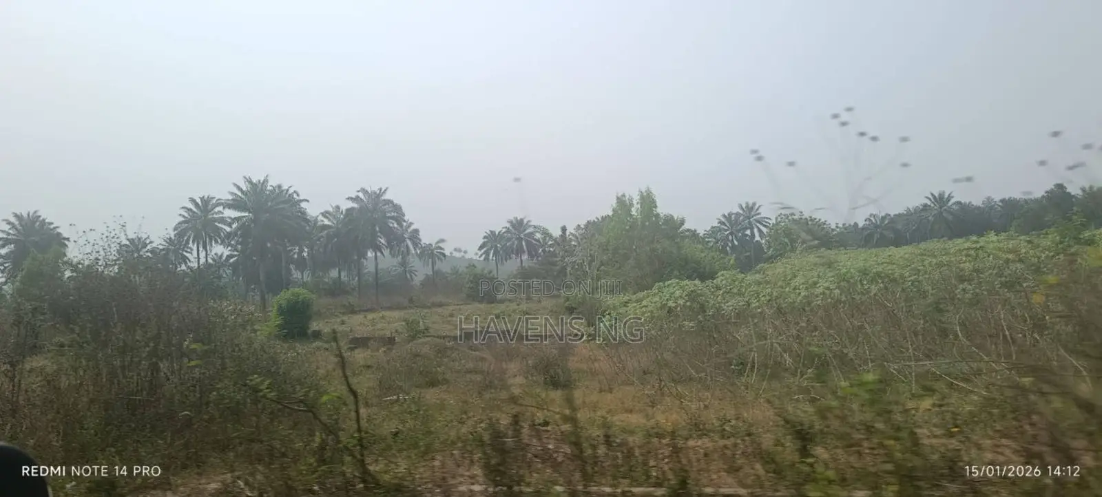 One Plot of Land for Sale in Akobo in Akobo