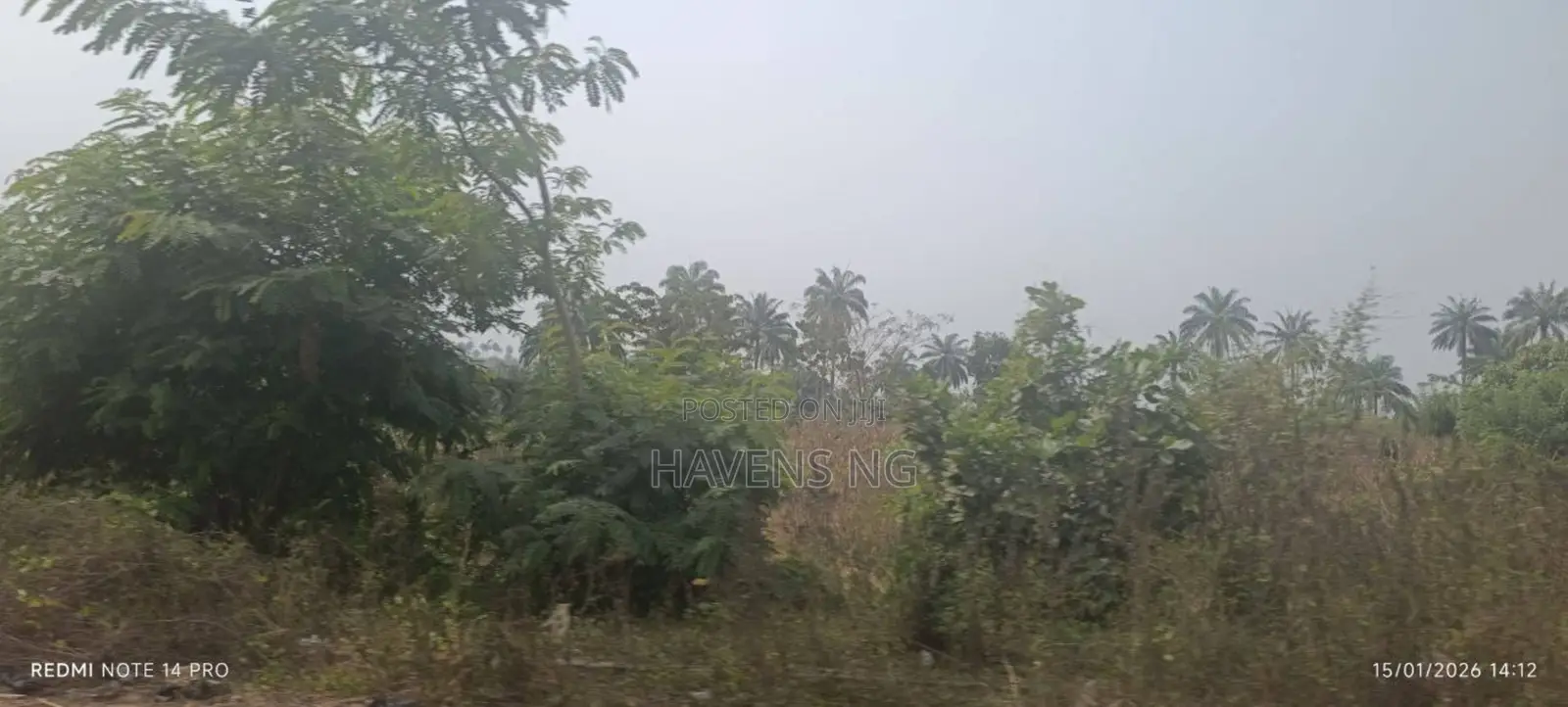 One Plot of Land for Sale in Akobo in Akobo