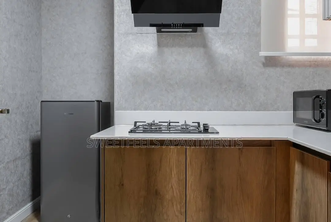 Newly Furnished 1bedroom Apartment With Ps5 in Ikate