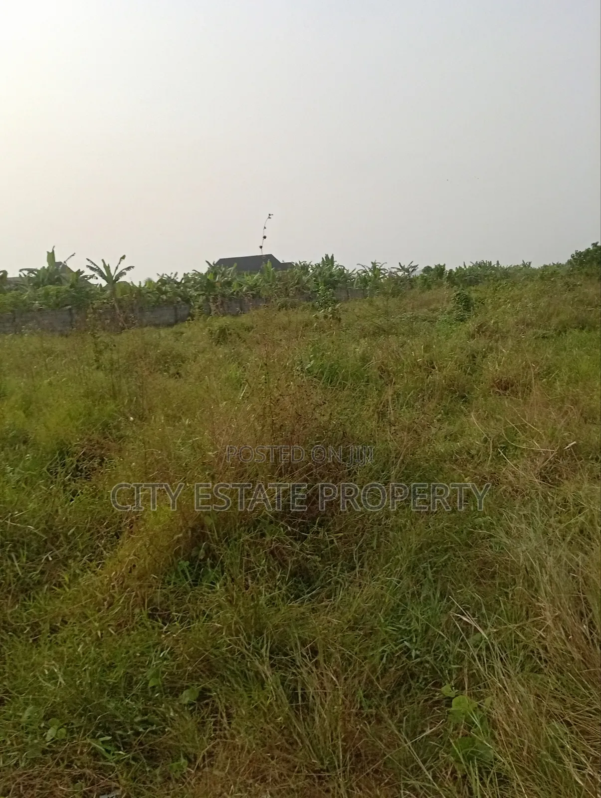 Land For Sale At Rukpokwu in Port-Harcourt