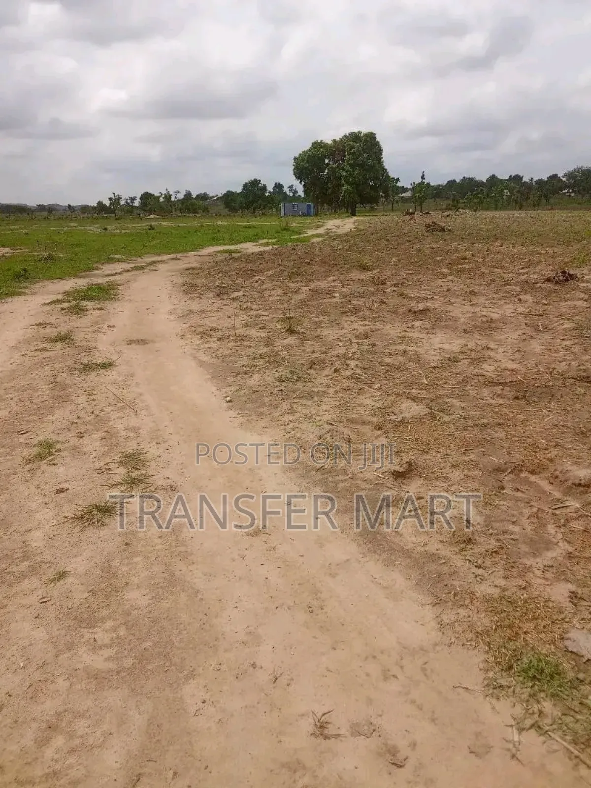 5.5 HCT in Akoyitapi Orozo
 55 Plots in Orozo