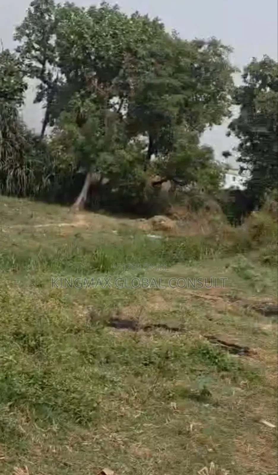 New in the Market Location: Jahi Plot : 2736 Size : 1,370.04 M2 in Jahi