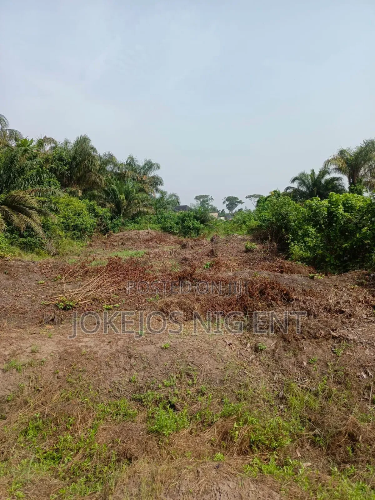Governor Consent Deed of Assignment Survey Plan in Sangotedo
