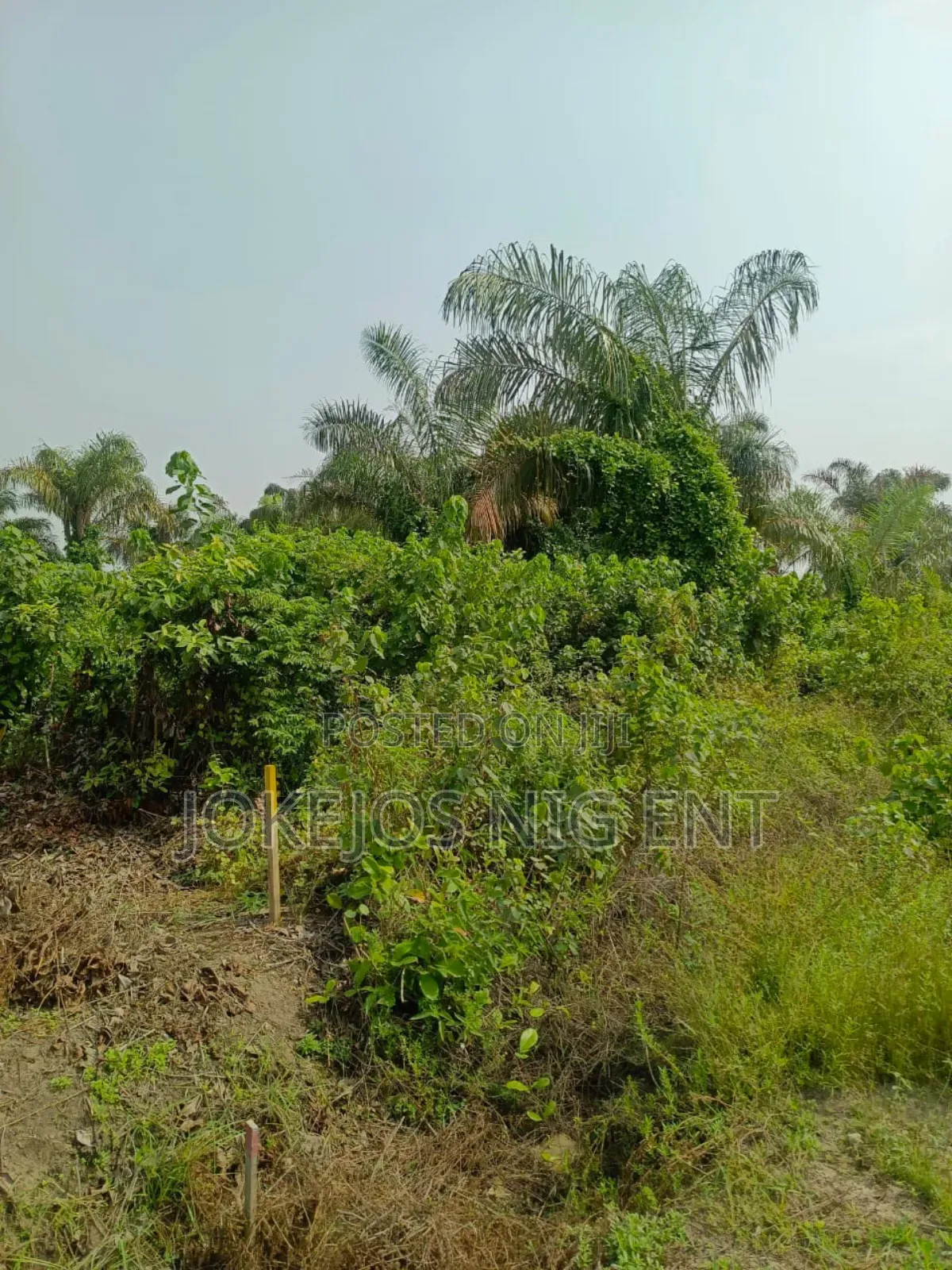 Governor Consent Deed of Assignment Survey Plan in Sangotedo