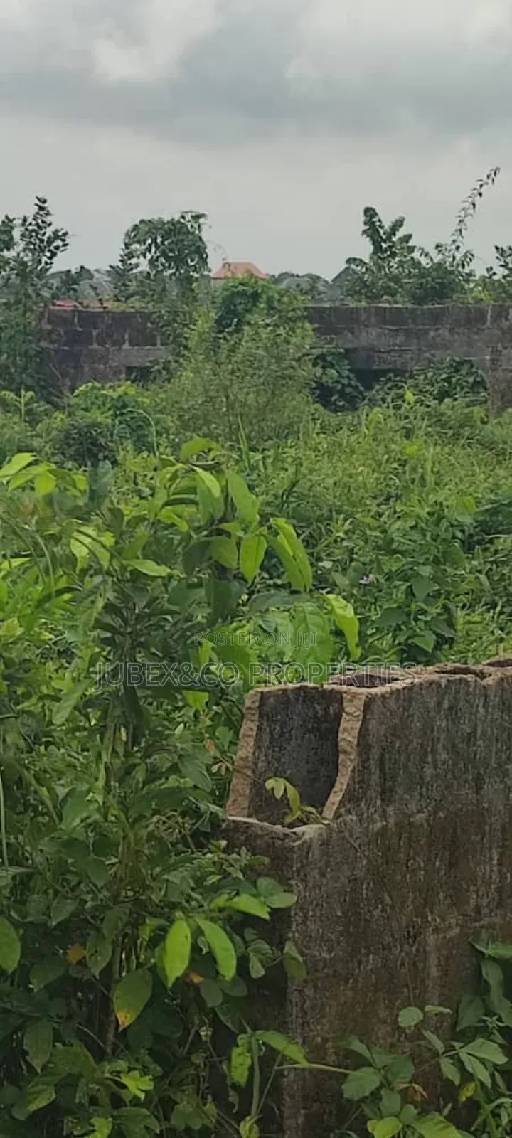 2 Acres of Land at Ibogun Ifo in Ifo