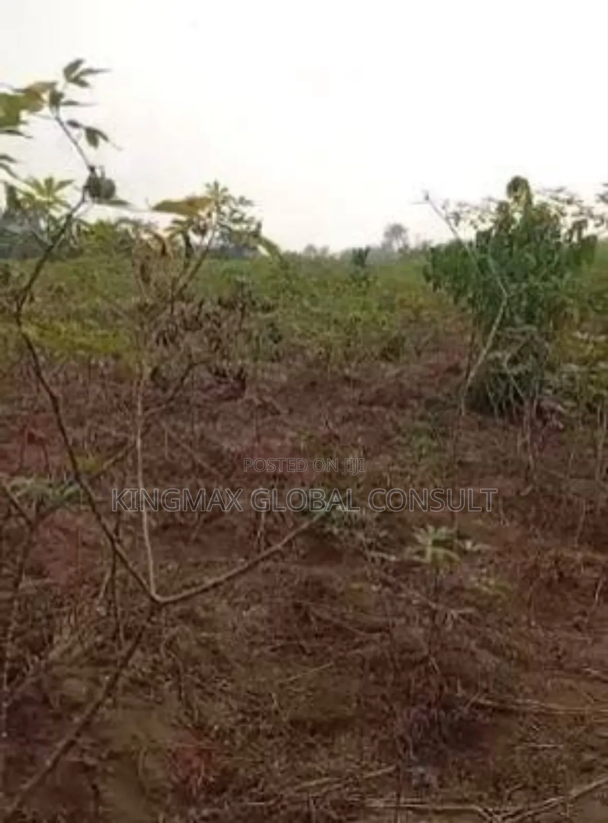For Sale* *5 HCTRS of Land Is Available* in Maitama