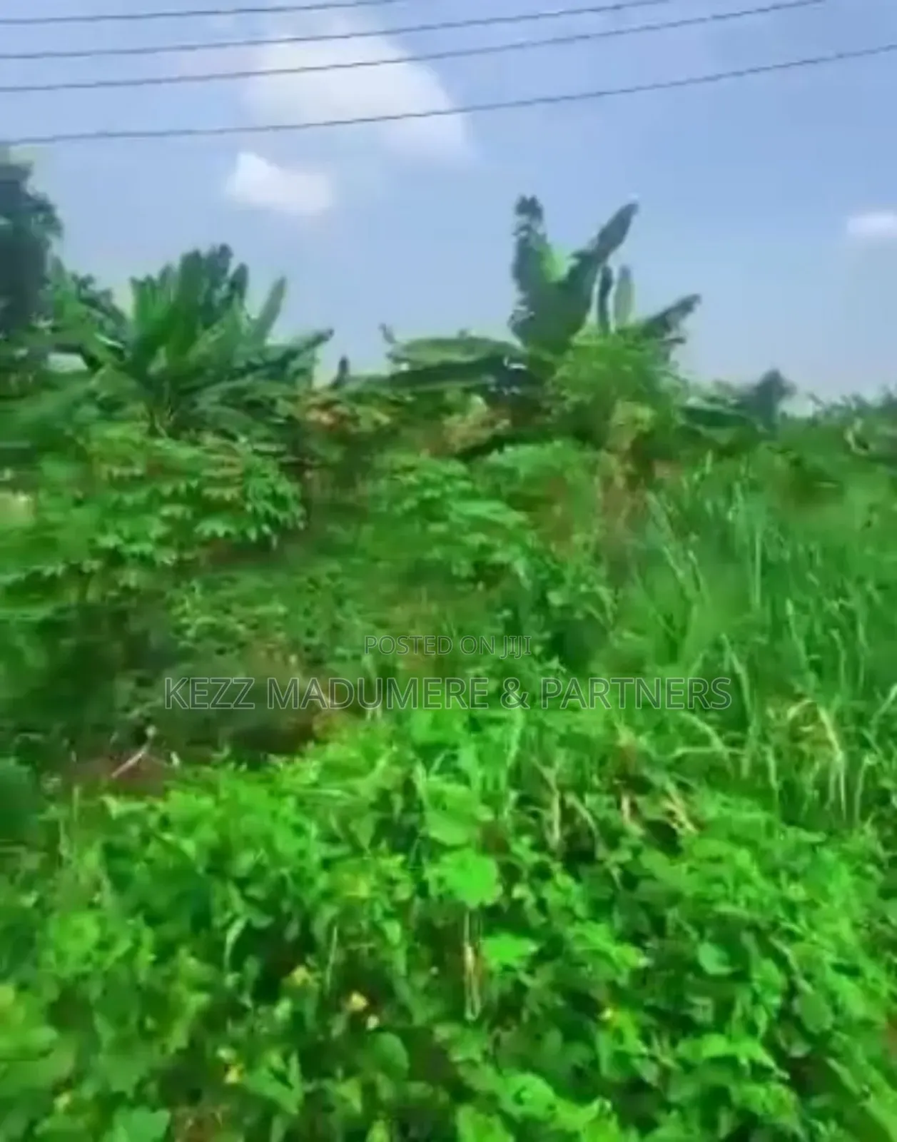 For Sale : 4 1⁄2 Plots at Obi Wali, Rumuigbo, Ph in Port-Harcourt