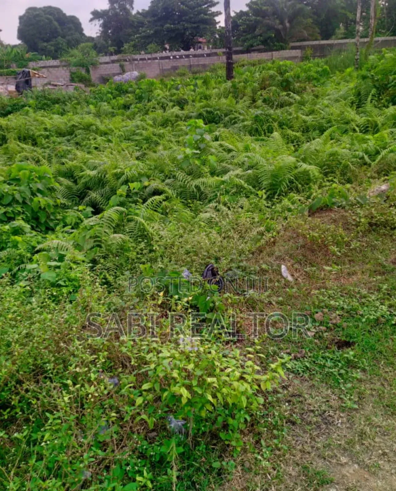 Residential Standard Full Plot of Land With Cofo in Oregun for Sale in Oregun