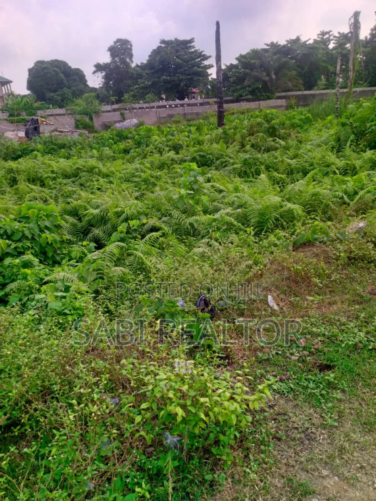 Residential Standard Full Plot of Land With Cofo in Oregun for Sale in Oregun