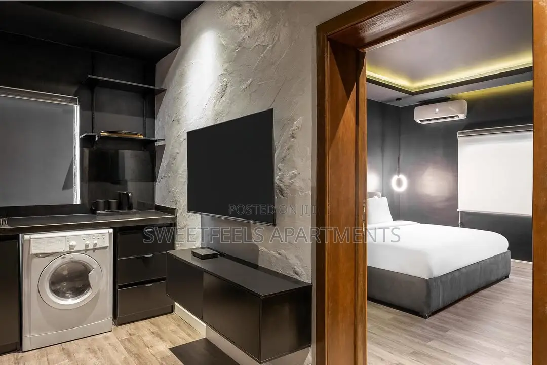 Newly Launched 1-Bedroom Apartment With a Dark / Zen Black Theme in Lekki Phase 1
