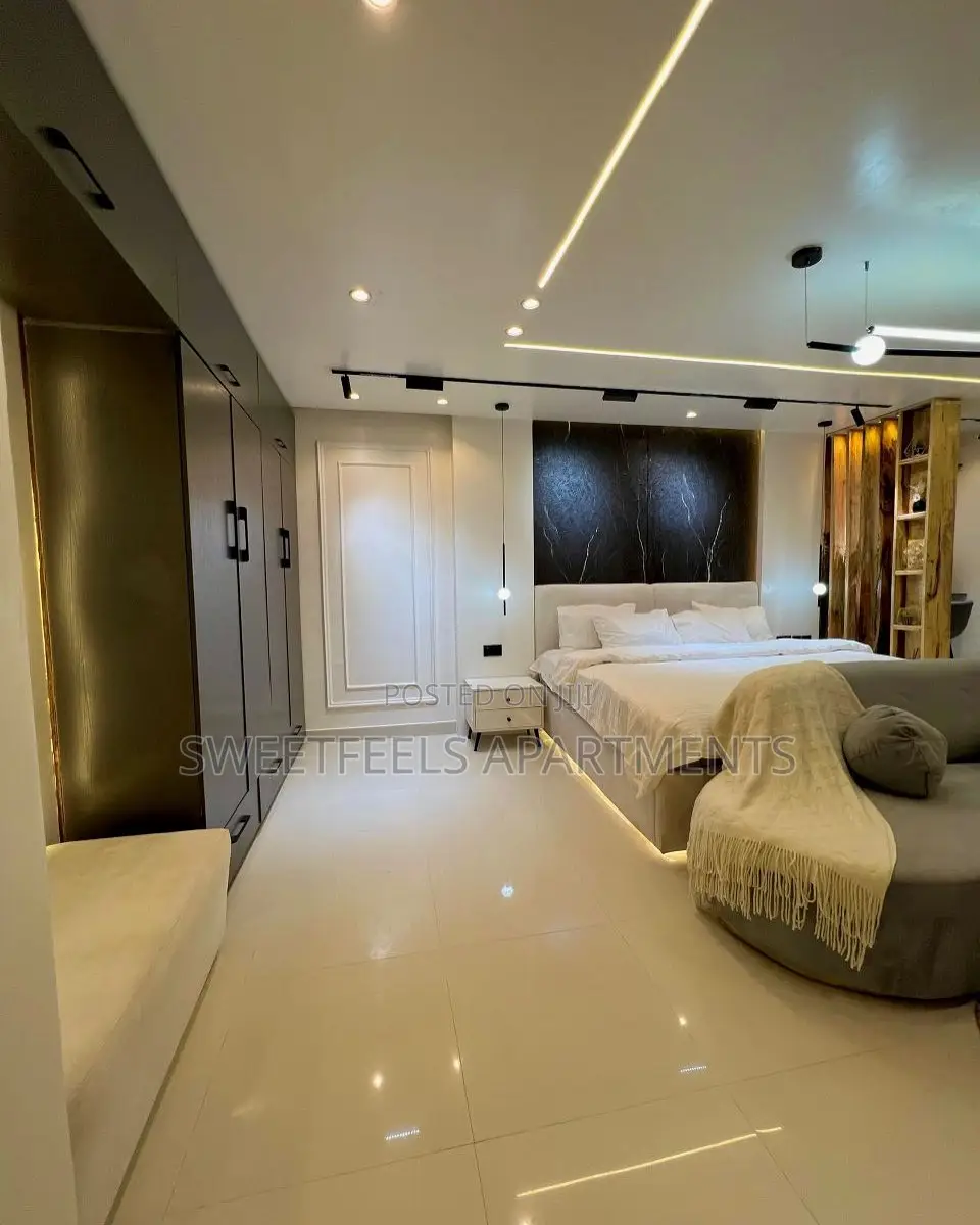 Very Luxurious Big Studio Penthouse in Lekki Phase 1