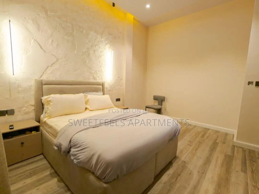 Smart Luxury 2 Bedroom Apartment in Lekki Phase 1