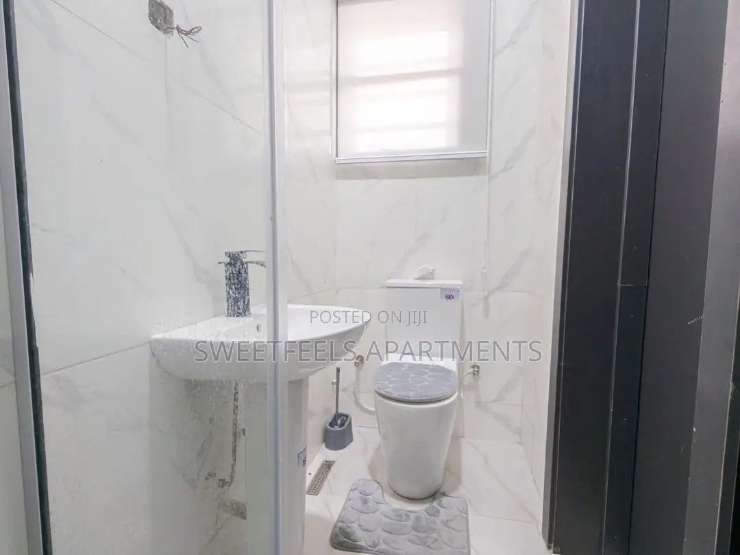 Smart Luxury 2 Bedroom Apartment in Lekki Phase 1