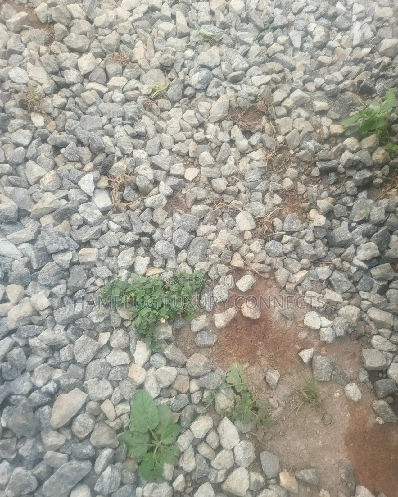 For Sale Prime Commercial Land for Sale!! Jahi by Gilmore in Jahi