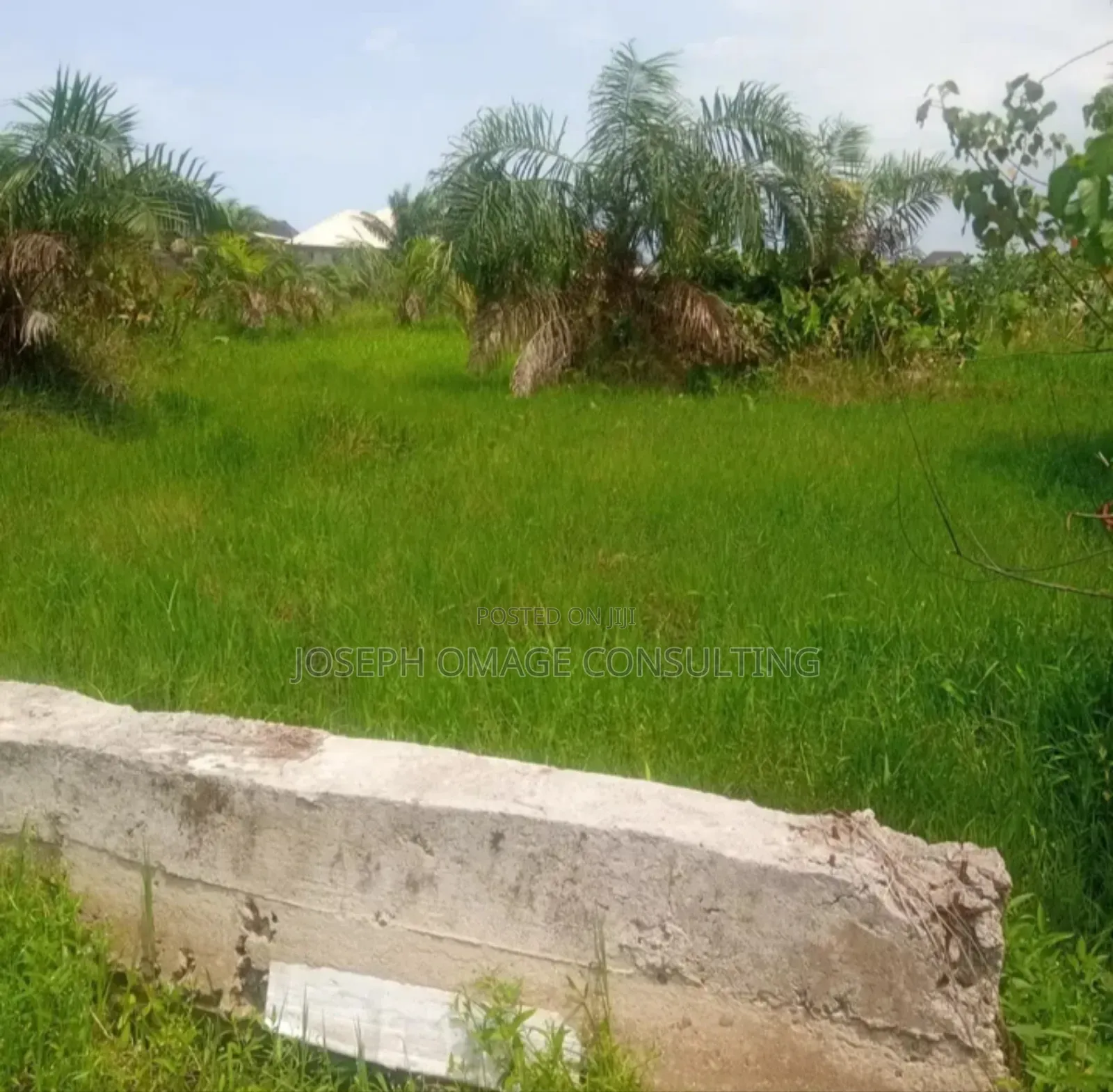 One Plot Plus for Sale in Lekki