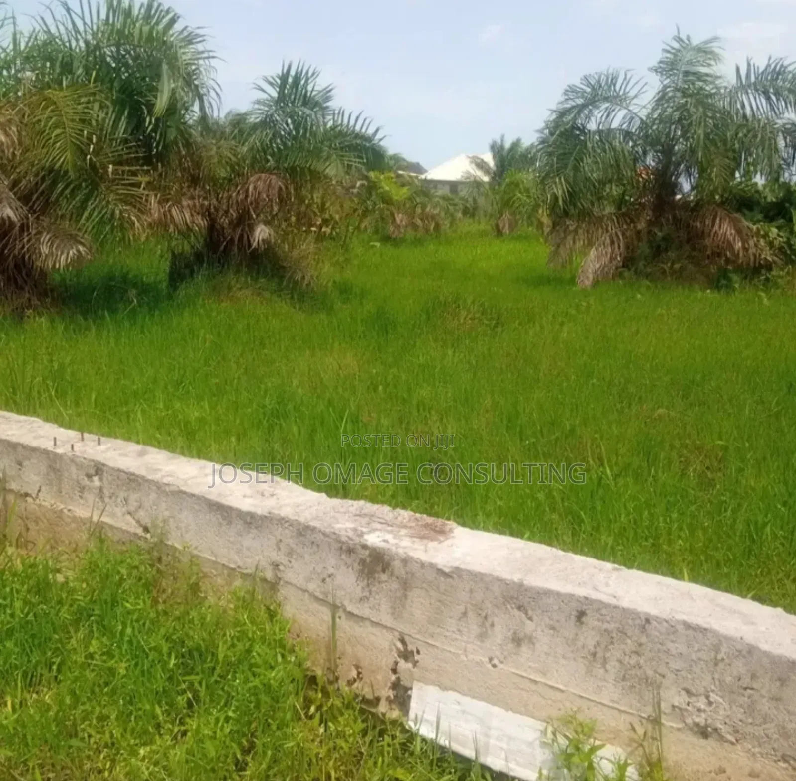 One Plot Plus for Sale in Lekki