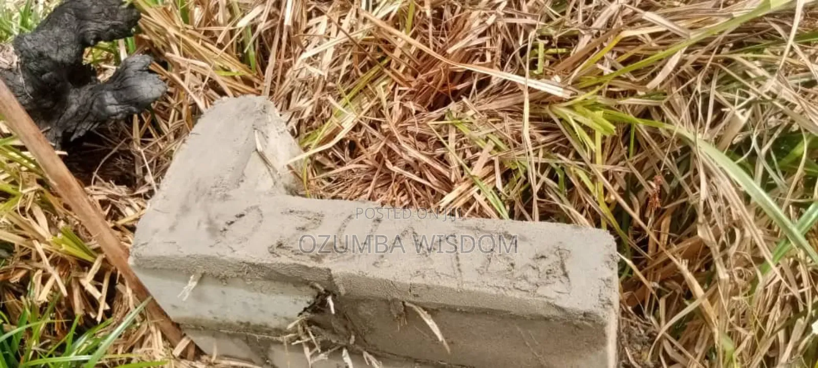 Hampton Court Estate in Lekki