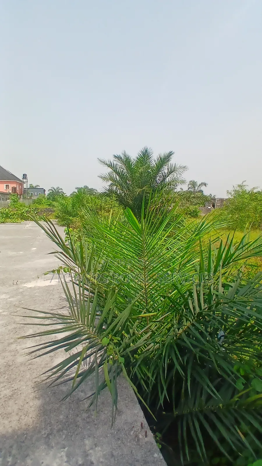 1 Plot of Land in Eleko