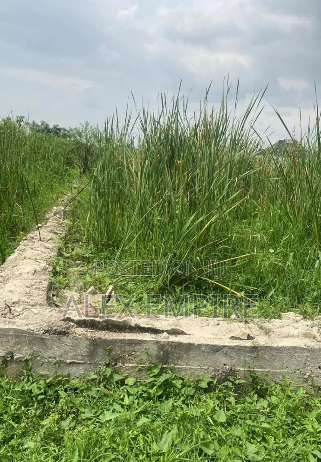 Land for Sale in Banana Island in Banana Island