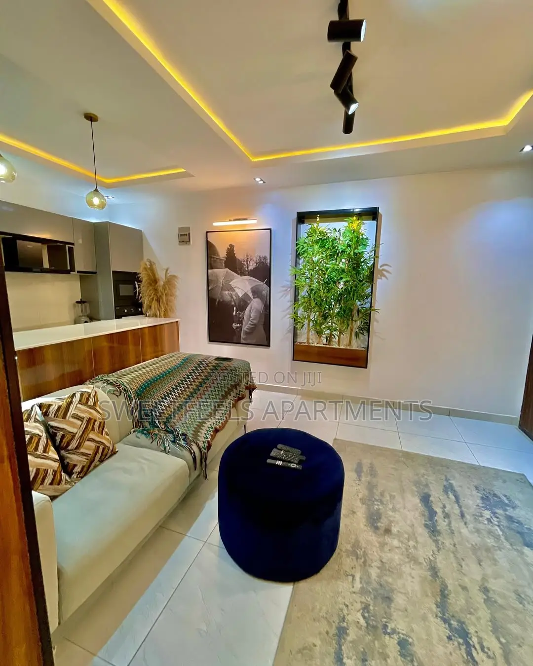 Luxury 1 Bedroom Apartment in Ikate