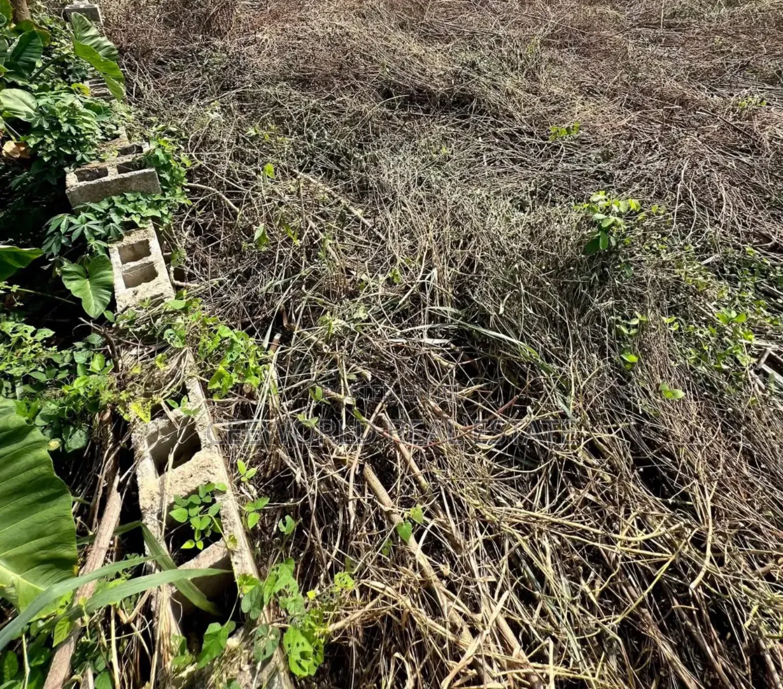 A Plot of Land at Opposite First Bank Oke Ado Ibadan in Oke Ado