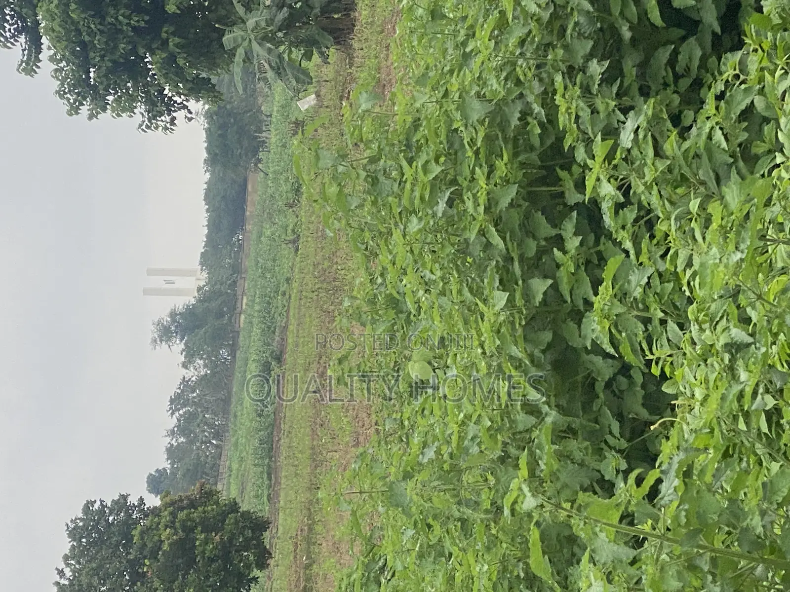 Land for Sale in Lugbe District