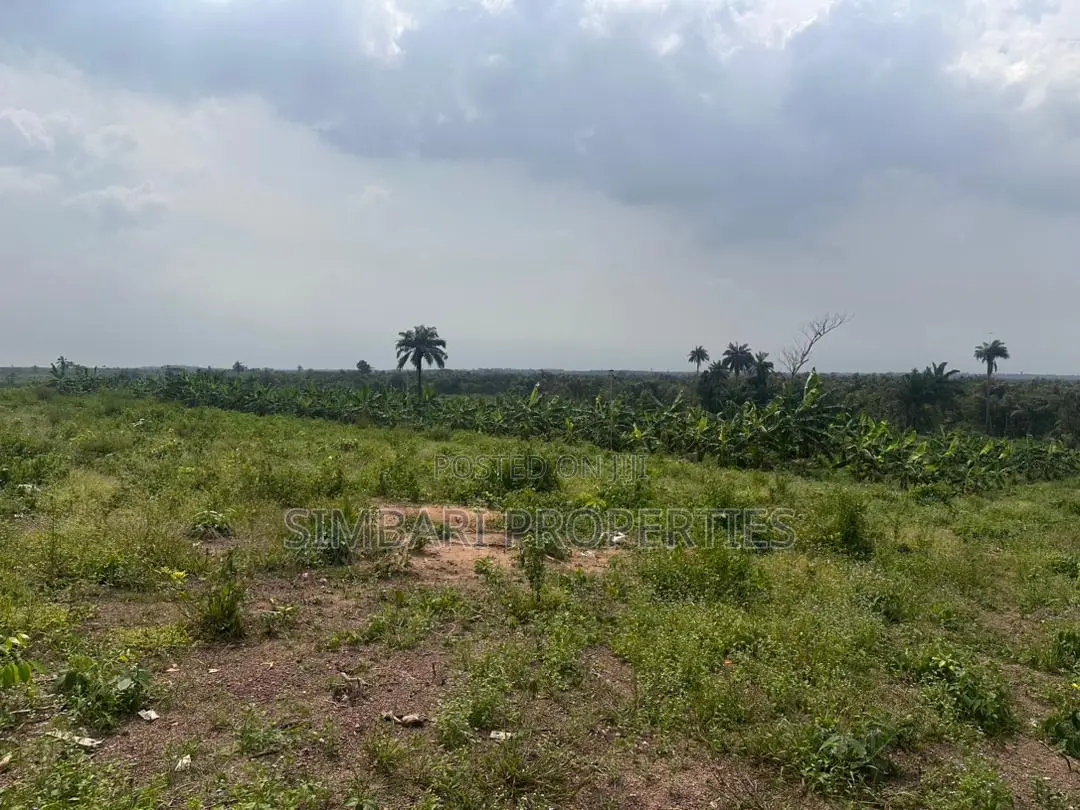 Affordable Plots of Land in Igboye Epe for Land Banking Income in Epe
