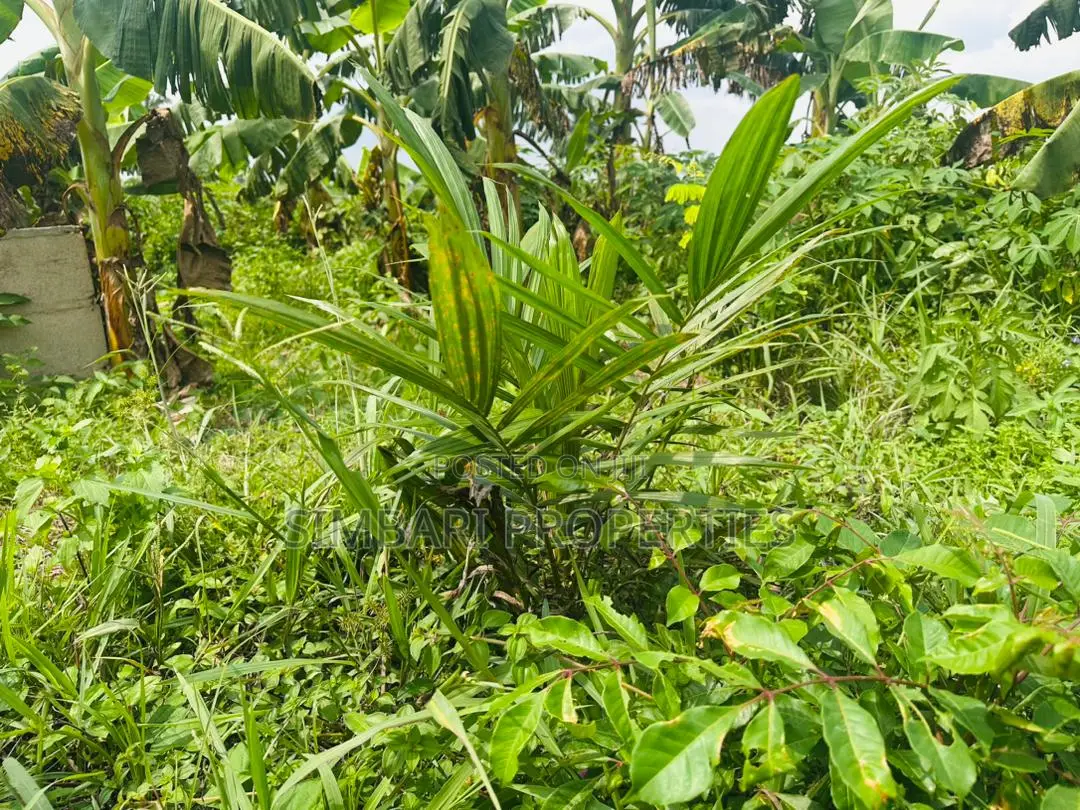 Affordable Plots of Land in Igboye Epe for Land Banking Income in Epe