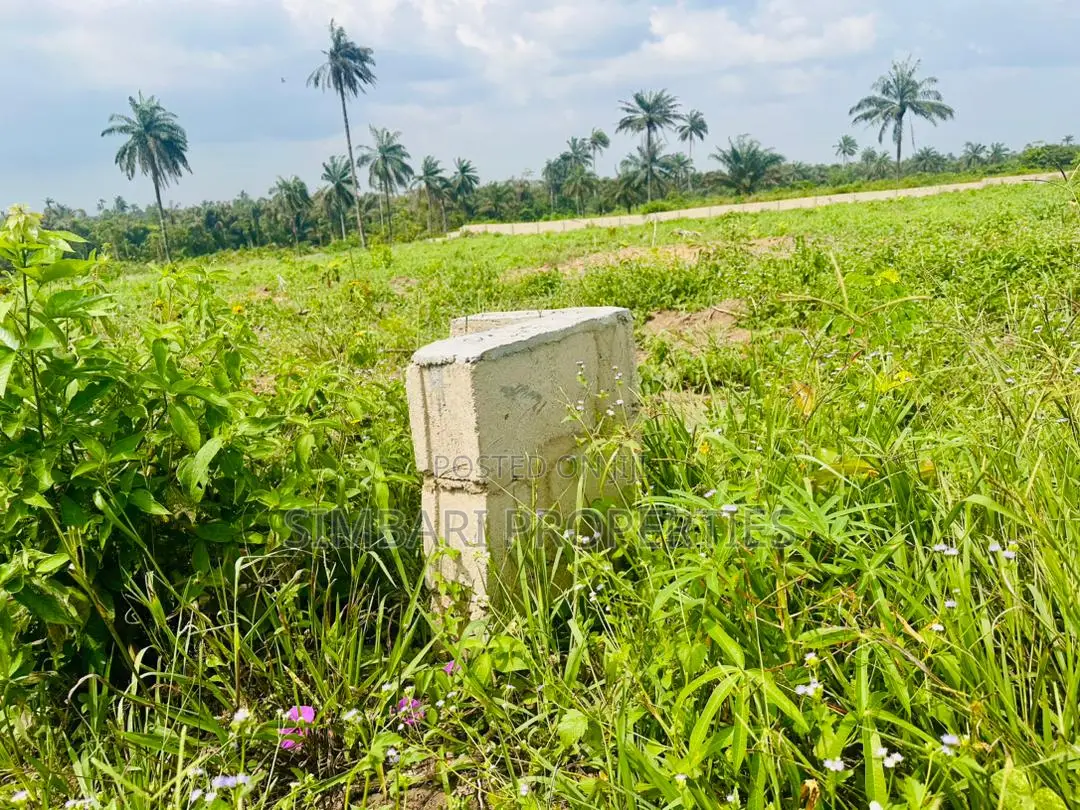 Affordable Plots of Land in Igboye Epe for Land Banking Income in Epe