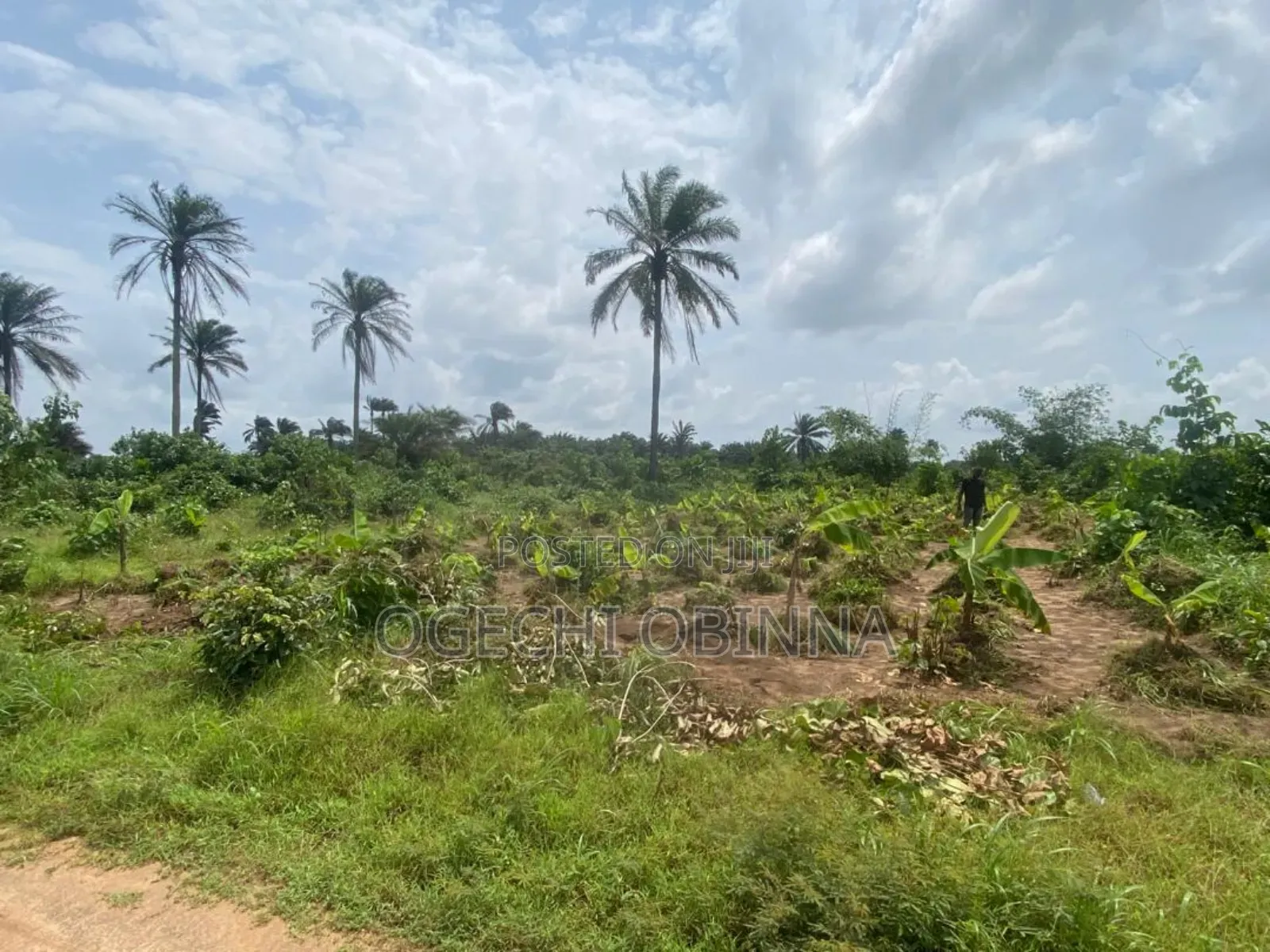 Genuine Plot at Igwuruta for Sale in Port-Harcourt