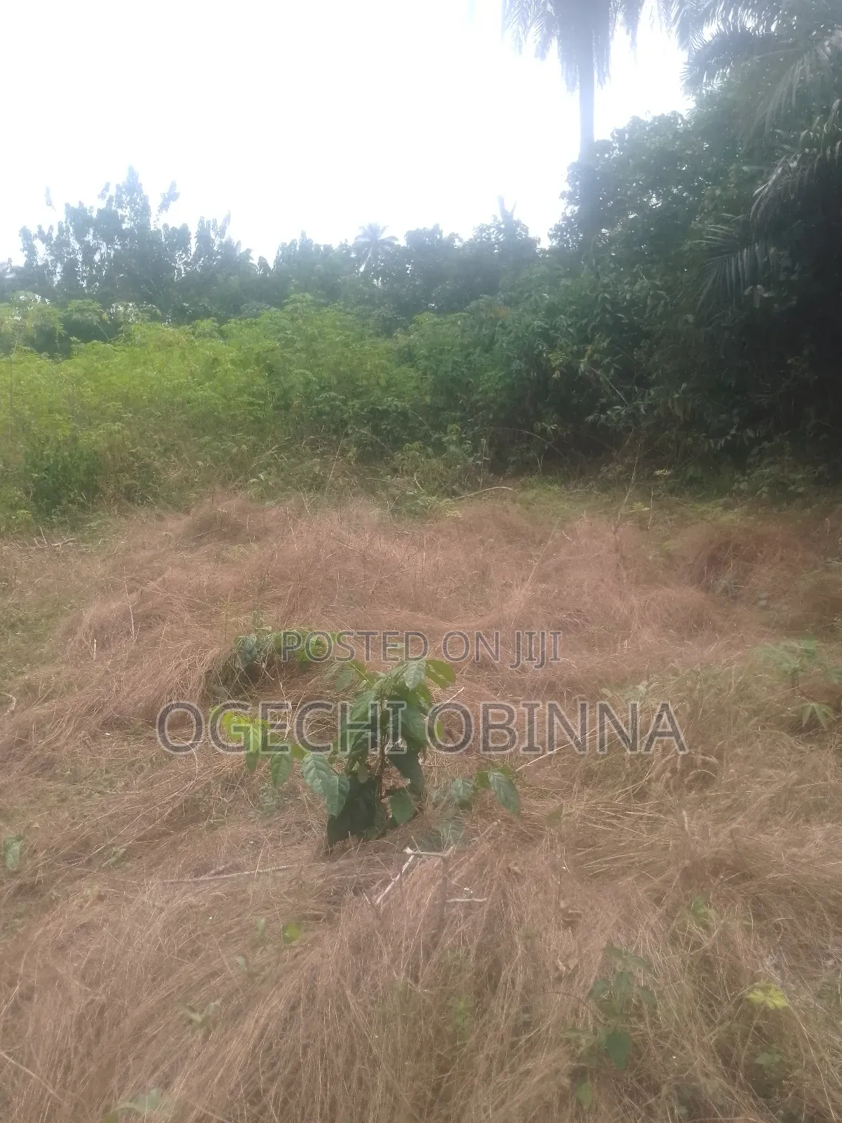 Genuine Plot at Igwuruta for Sale in Port-Harcourt