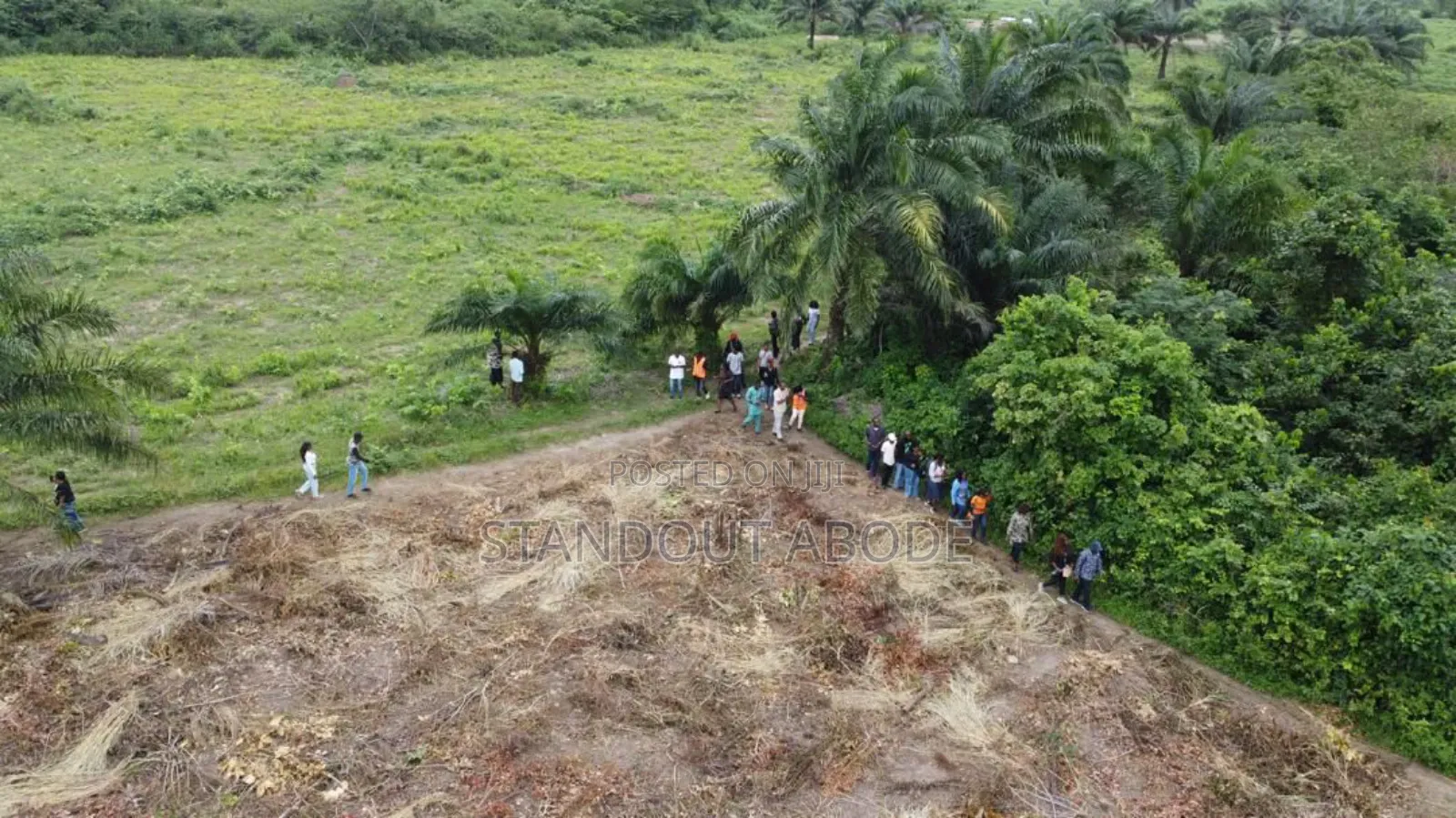 Invest in Your Future Buy Land in Apex Garden Estate in Ijebu