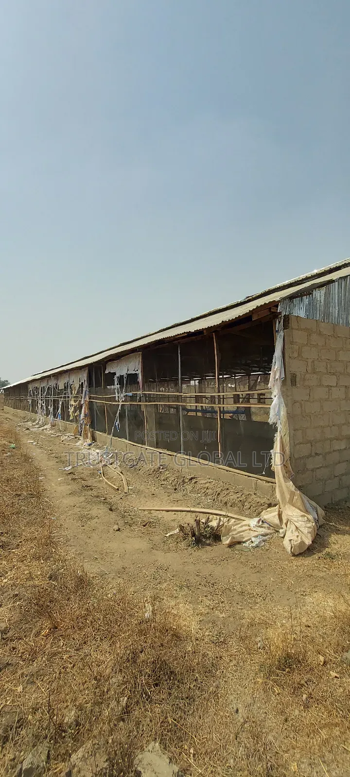 Operational Commercial Farm for Sale in Masaka