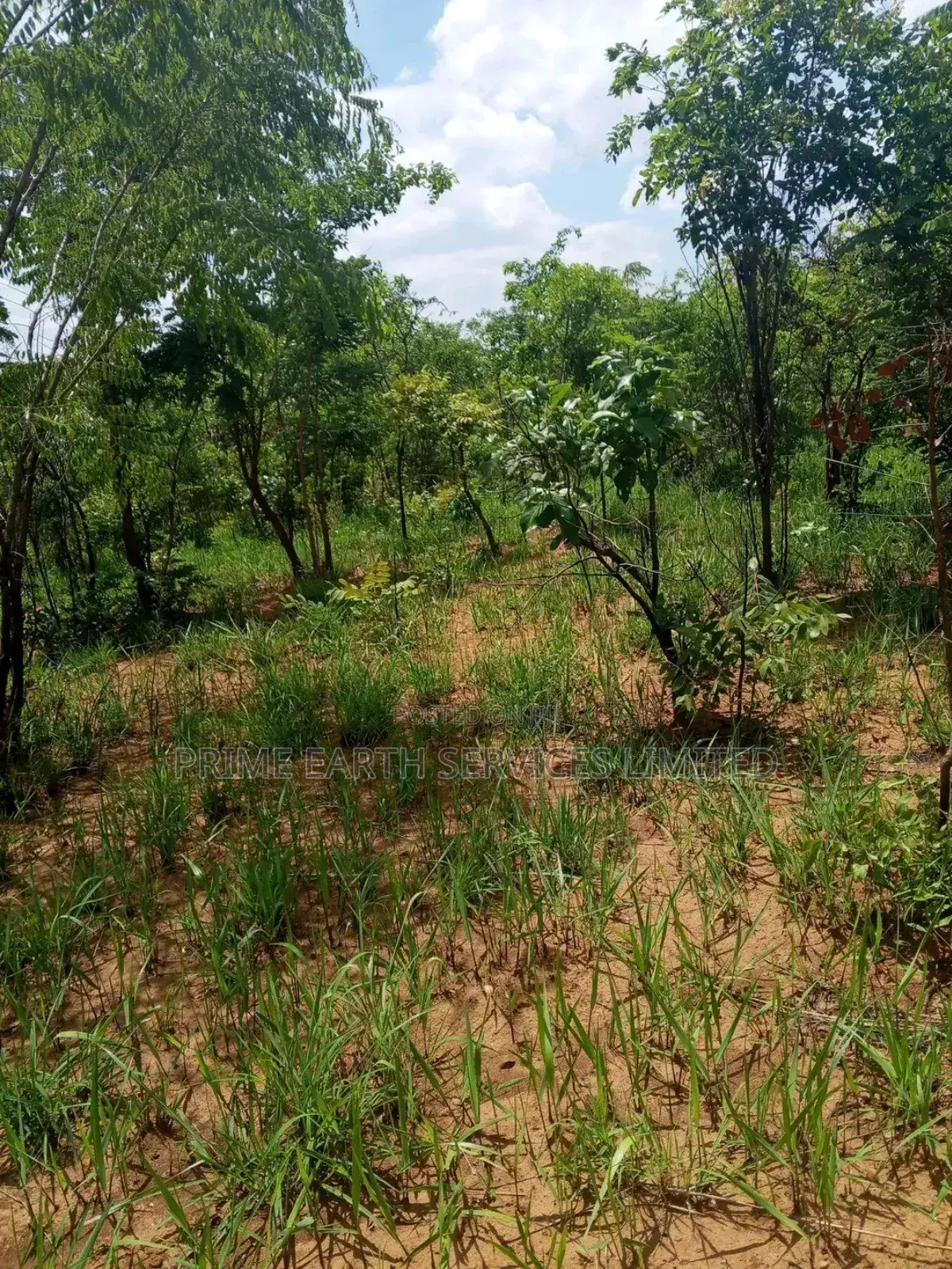 Land for Sale in Ilorin Kwara State in Ilorin East