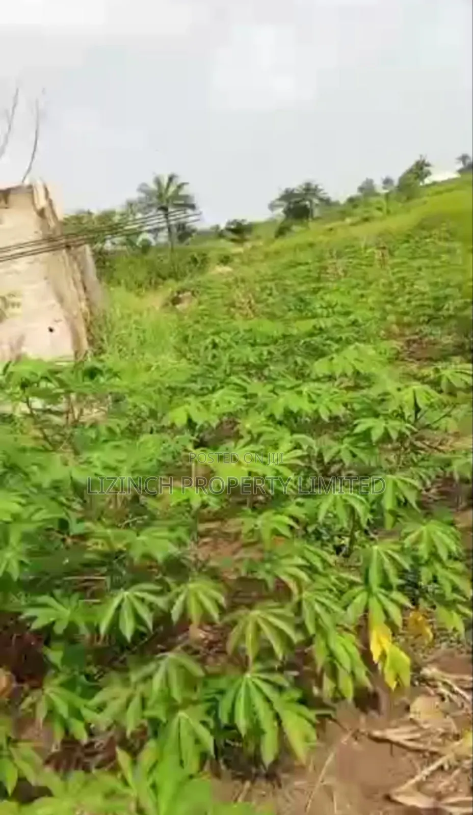 100ft by 100ft Land Available for Sale at Oviogie in Benin City