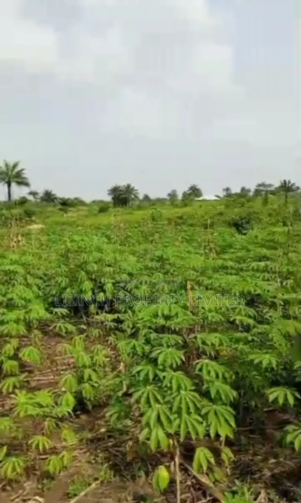 100ft by 100ft Land Available for Sale at Oviogie in Benin City