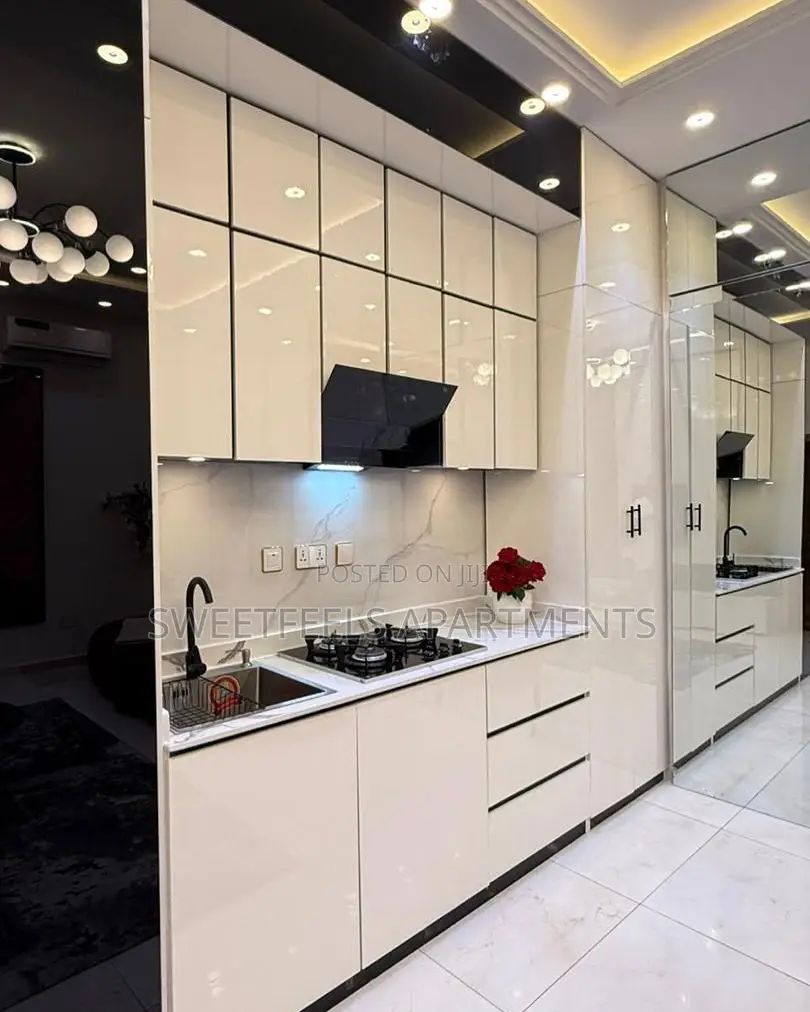 Beautifully Furnished One Bedroom Apartment With Bathub (Paris) in Osapa london