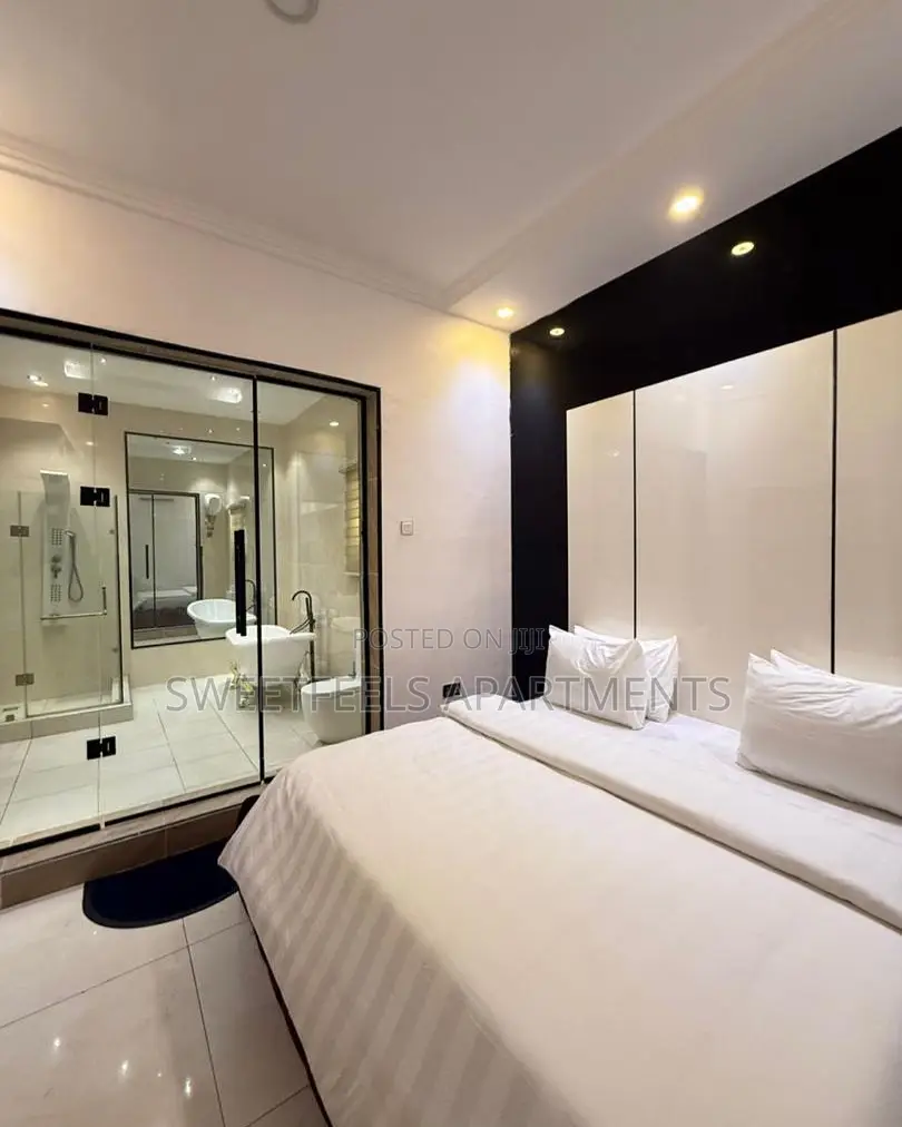 Beautifully Furnished One Bedroom Apartment With Bathub (Paris) in Osapa london