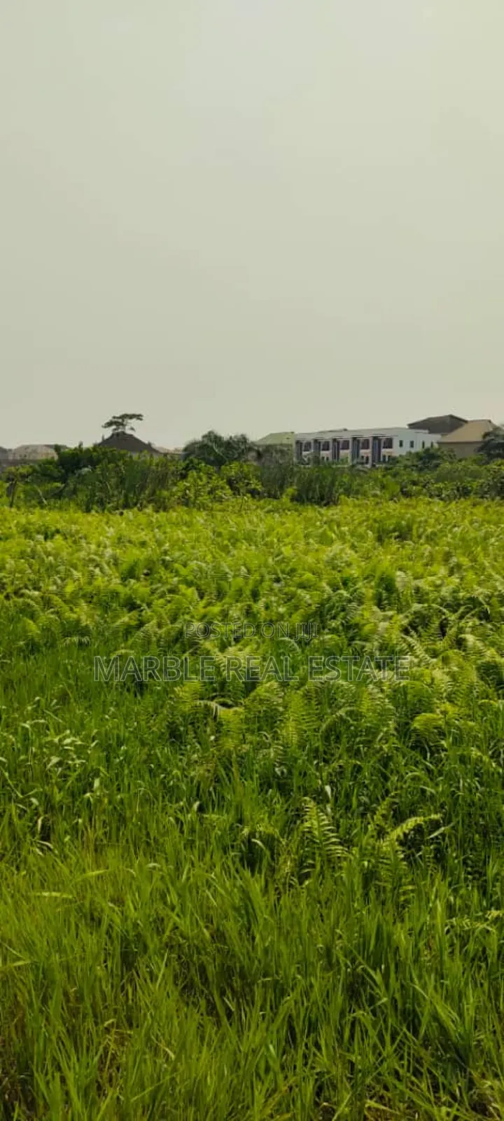 Estate Land Near Berger in Berger