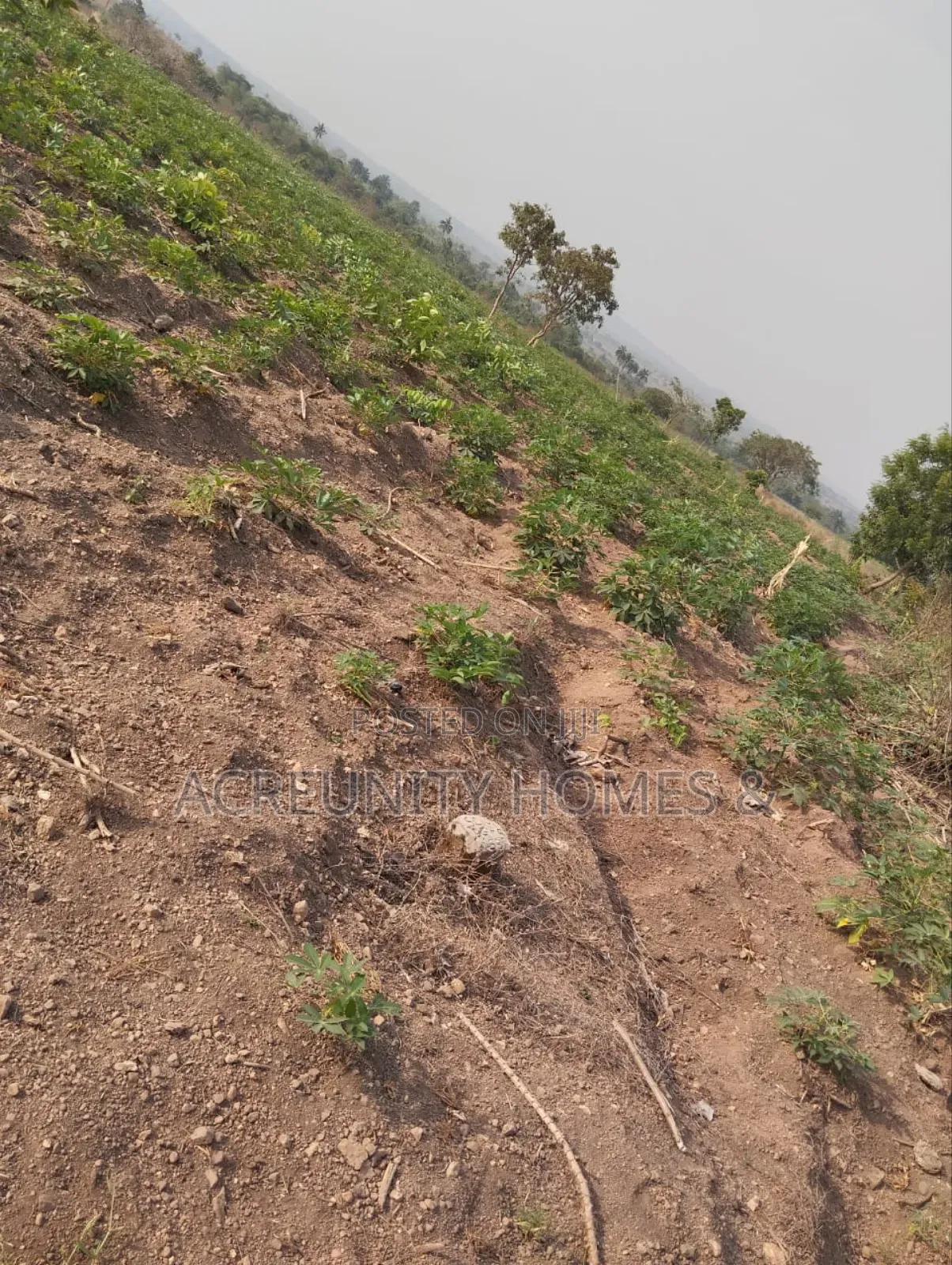10 Acres of Land for Sale – Km 9, Iseyin–Ogbomoso Road in Iseyin