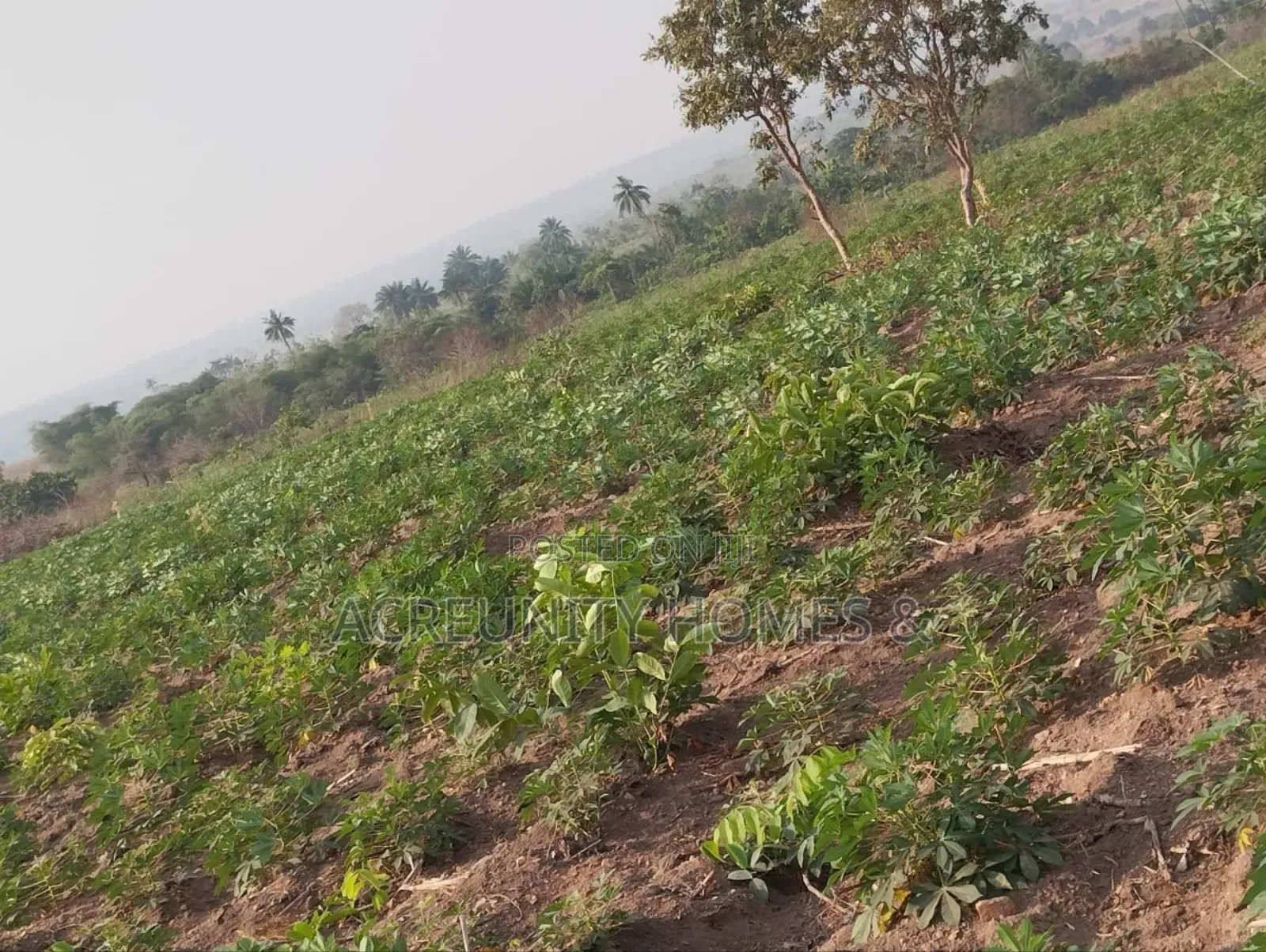 10 Acres of Land for Sale – Km 9, Iseyin–Ogbomoso Road in Iseyin