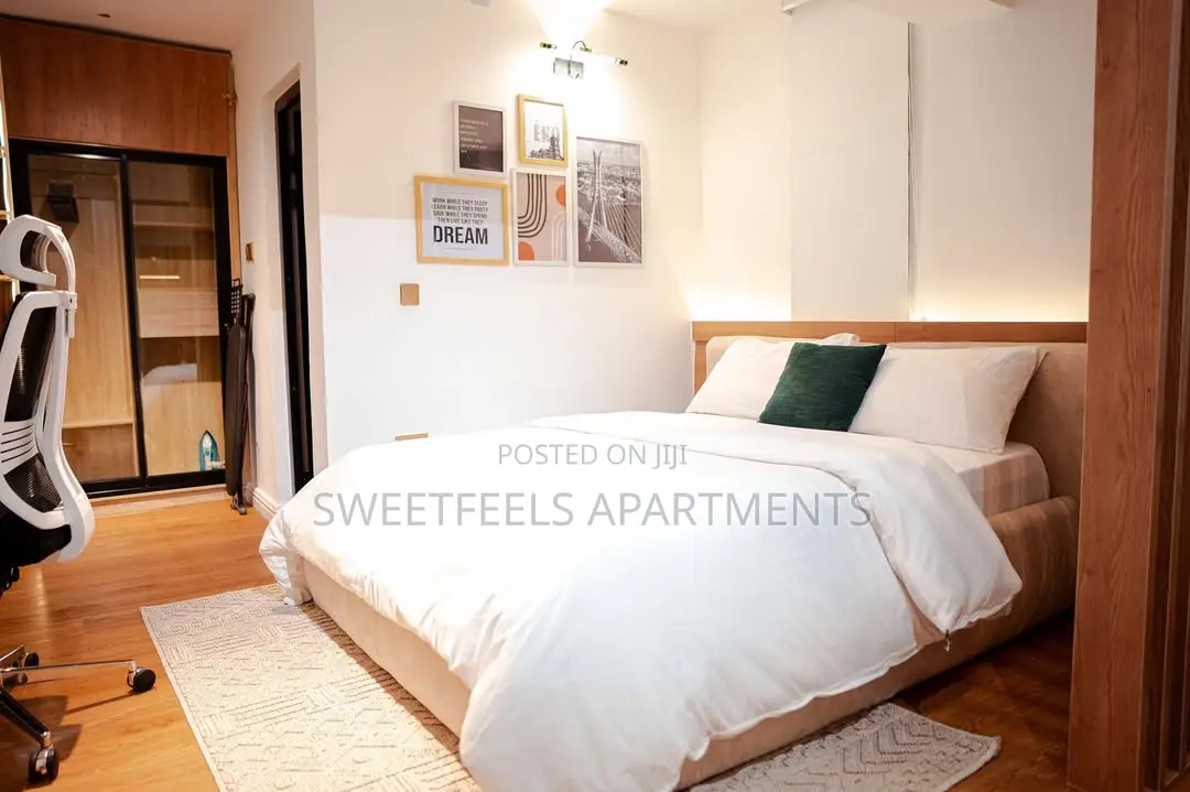 Big Studio Apartment With Ps5 and Swimming Pool in Victoria Island Extension