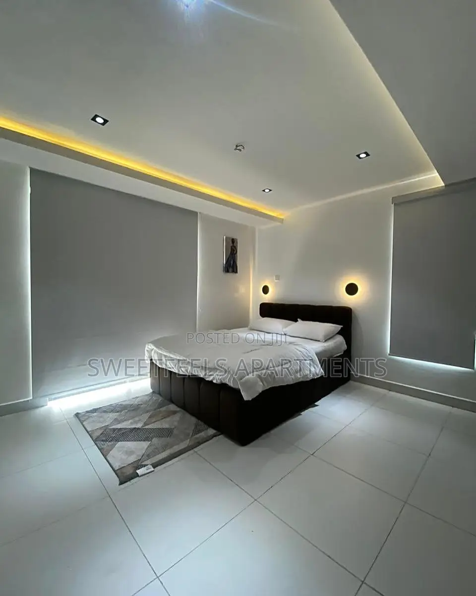 Executive Luxury One Bedroom Apartment in Sabo / Yaba
