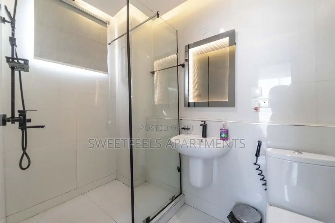 Fully Automated 2 Bedroom Pentfloor in Victoria Island Extension