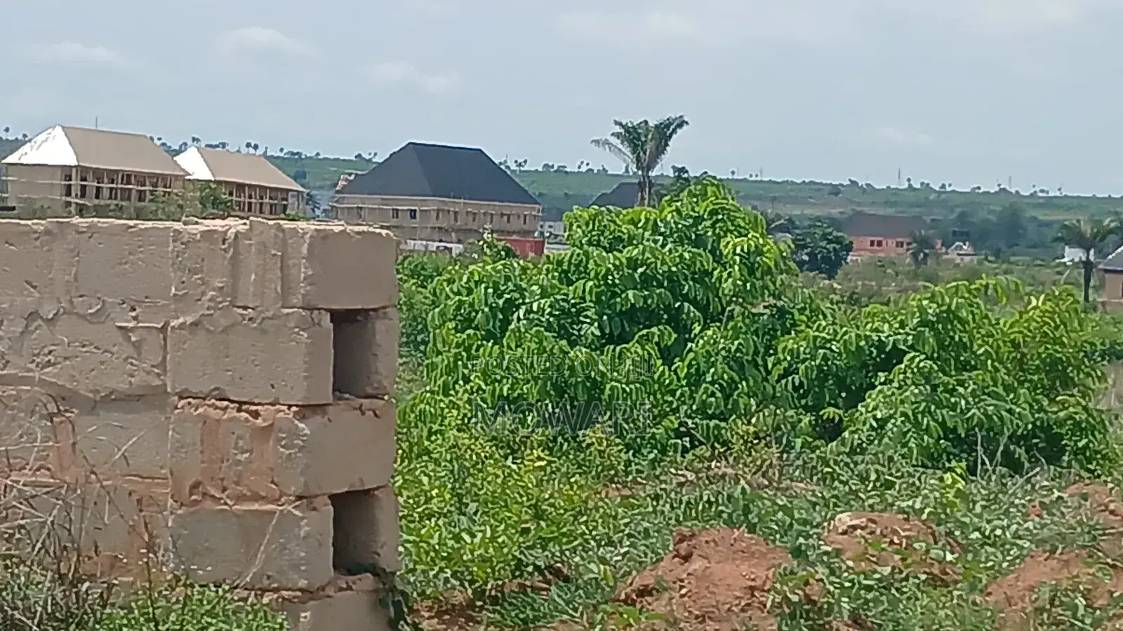 Last 50×100 Plots — Inspect First in Oshimili North
