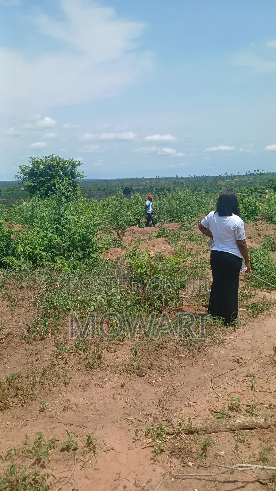 Last 50×100 Plots — Inspect First in Oshimili North