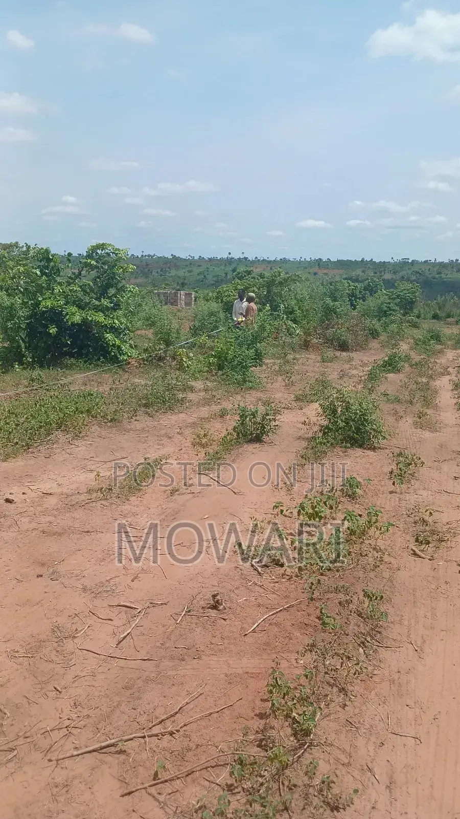 Last 50×100 Plots — Inspect First in Oshimili North
